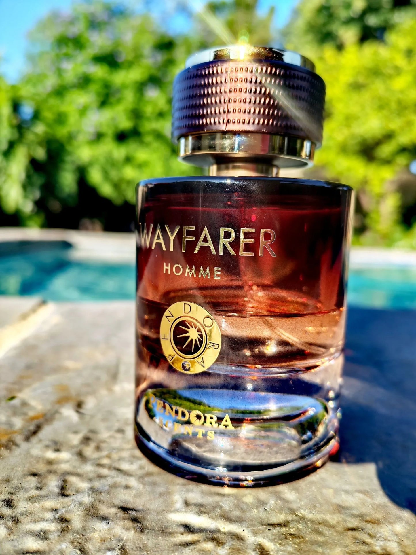 Wayfarer Homme (Inspired by Wanted by Night By Azzaro)