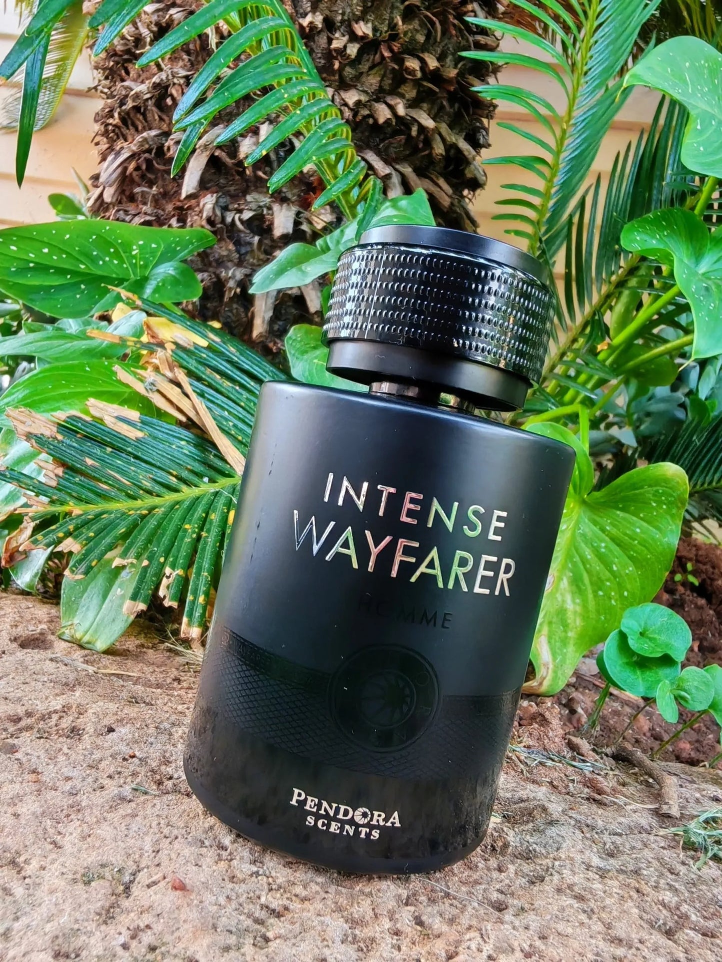Intense Wayfarer (Inspired By The Most Wanted by Azzaro)