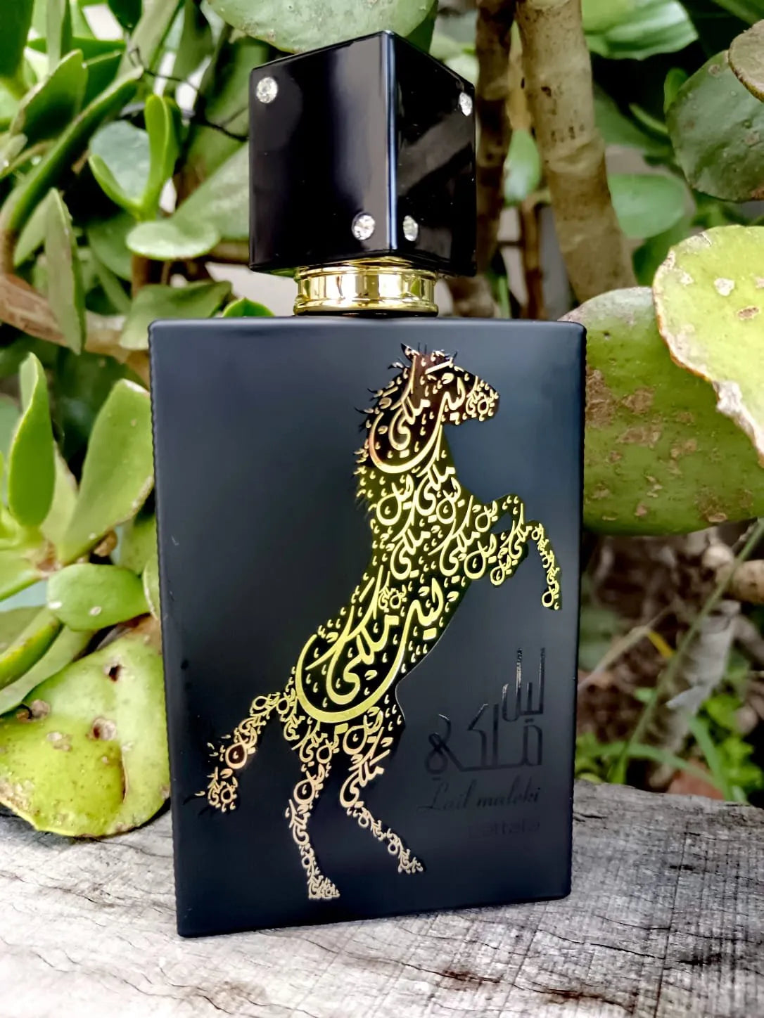 Lail Maleki (Black)