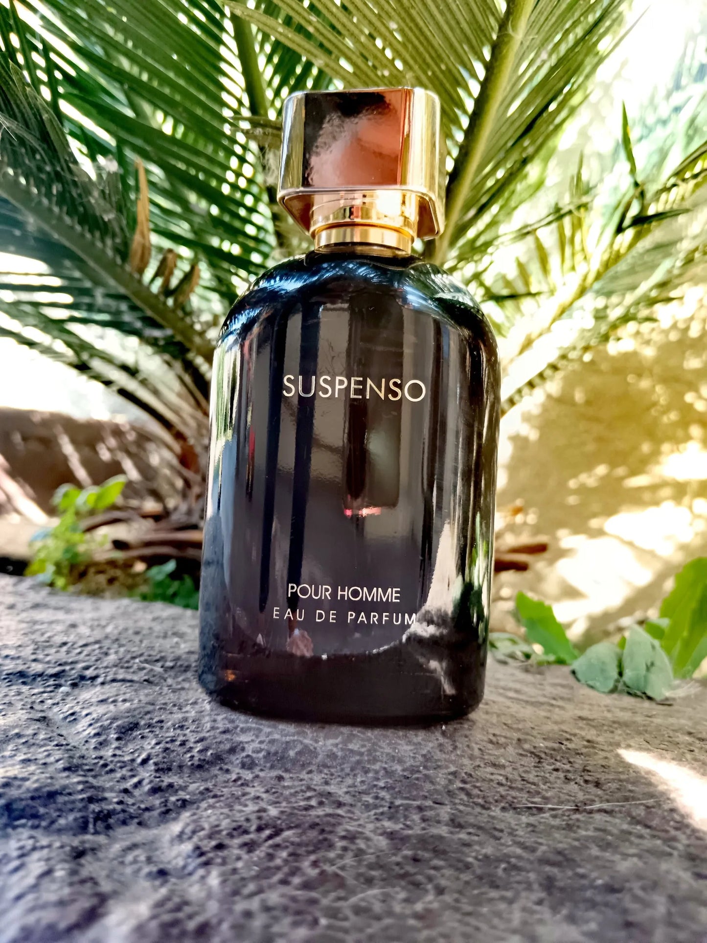 Suspenso Pour Homme (Inspired by Intenso by Dolce & Gabbana)