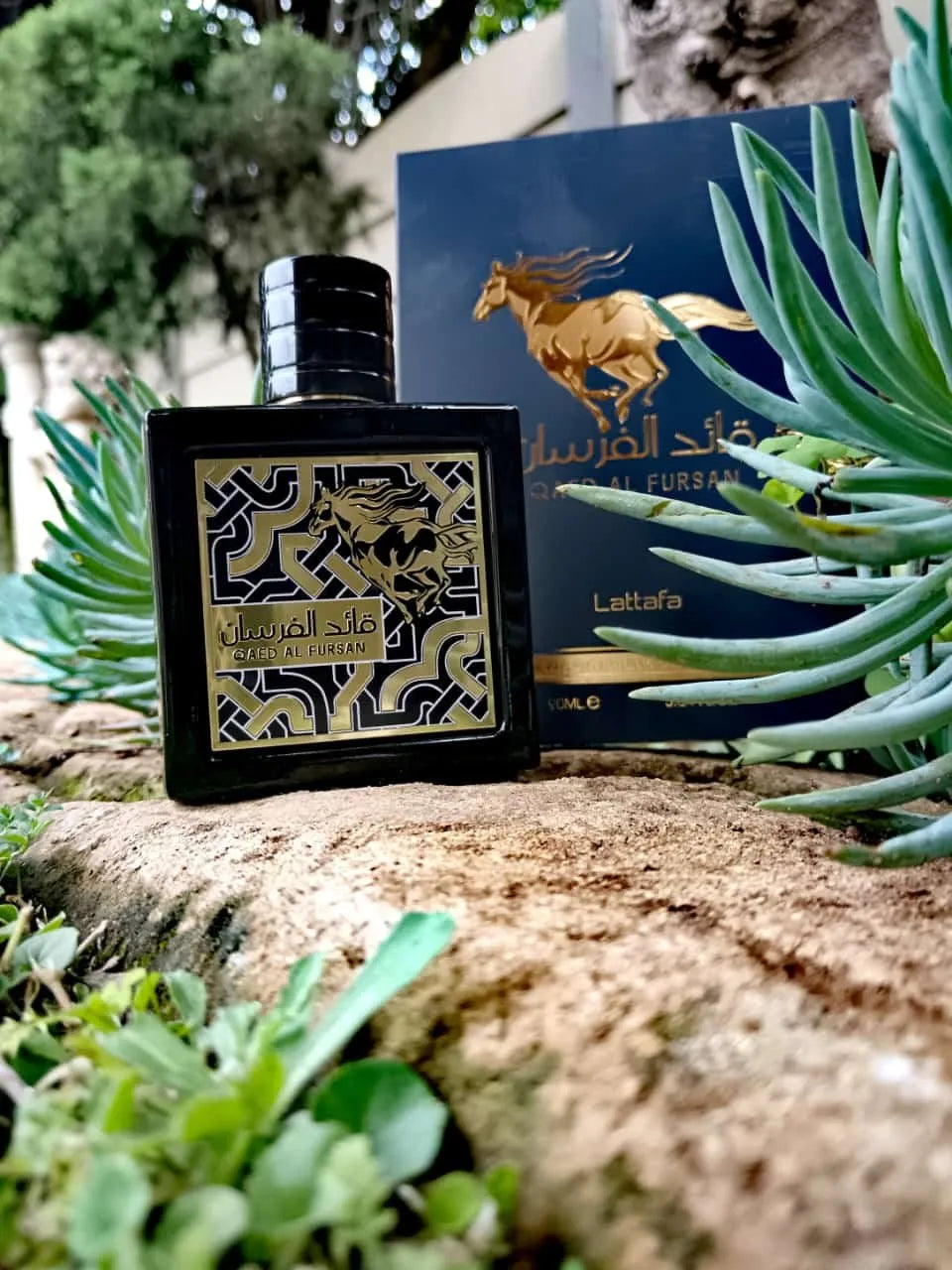 Qaed Al Fursan (Black Bottle) (Inspired Both By Creed Aventus and Paco Rabanne Black XS)