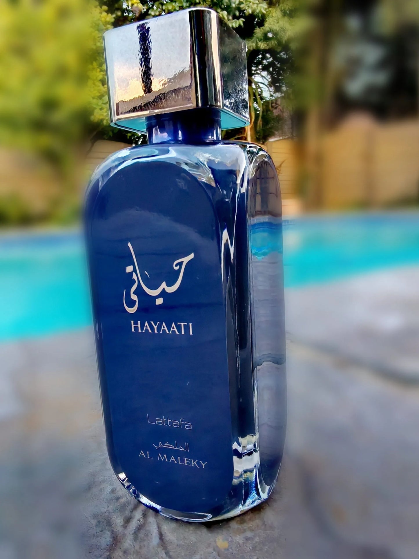 Hayaati Al Maleky (Inspired By Phantom by Paco Rabanne)